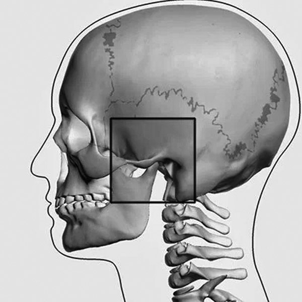 Página Cedimagem Diagnósticos - Tomografia do Maxilar e